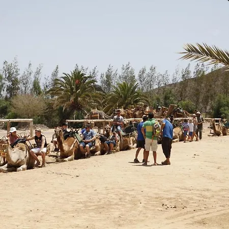 ホリデーパーク Bungalows El Jardin Pájara